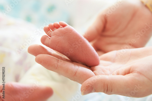 Young baby foot/Young baby foot. Newborn girl © elenavolf