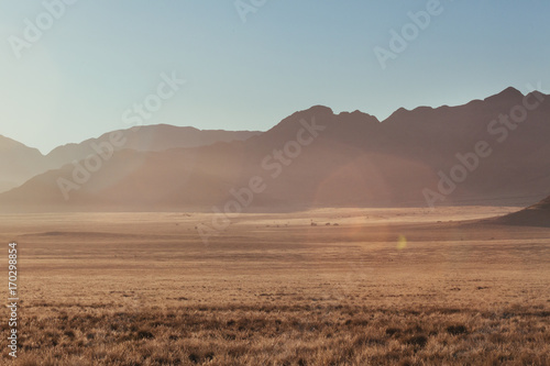 Namibia desert , Veld , Namib 