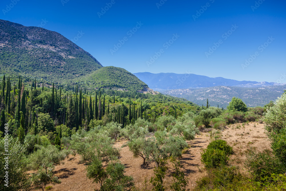 Landscape Landscape