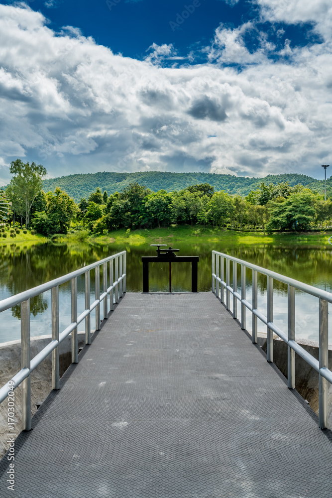 Mountain trees and green lake