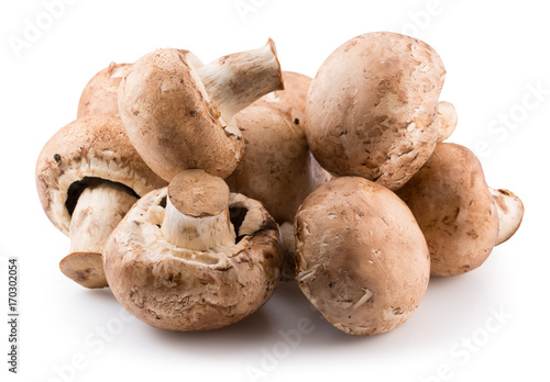 white mushrooms isolated on a white background