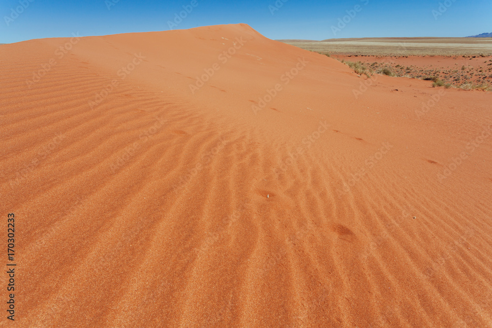 Namibia desert , Veld , Namib 