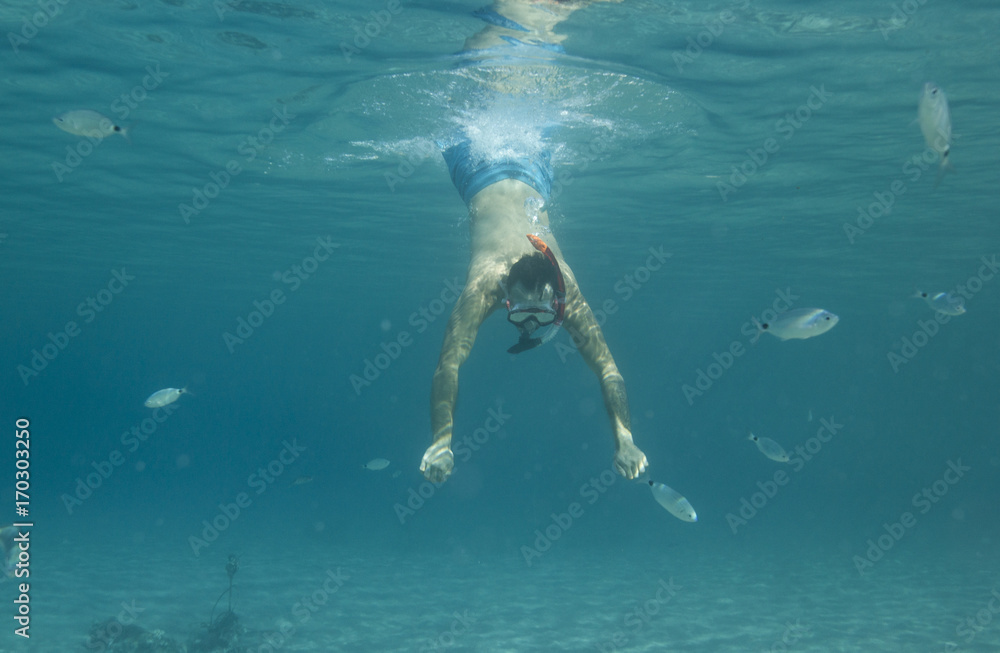 Man swimming underwater