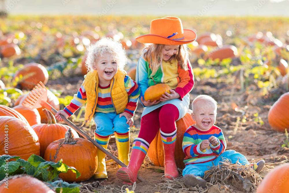 Fototapeta premium Kids picking pumpkins on Halloween pumpkin patch