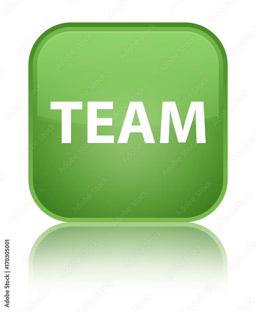 Team special soft green square button Team special soft green square button