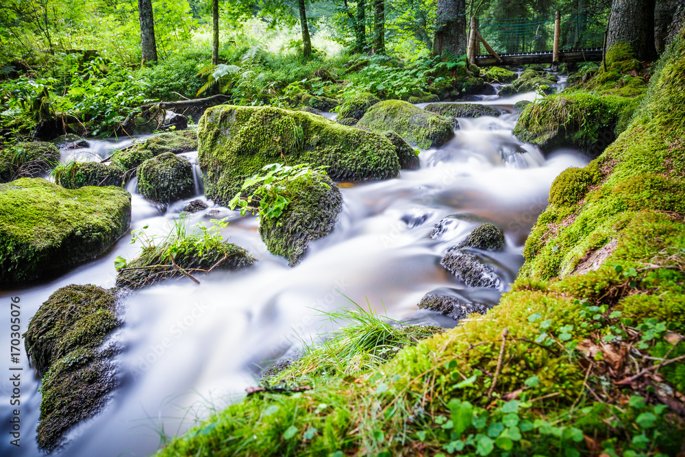 Wasserfälle von Triberg im Schwarzwald Wasserfall und Wildbach Wasserfälle von Triberg im Schwarzwald Wasserfall und Wildbach