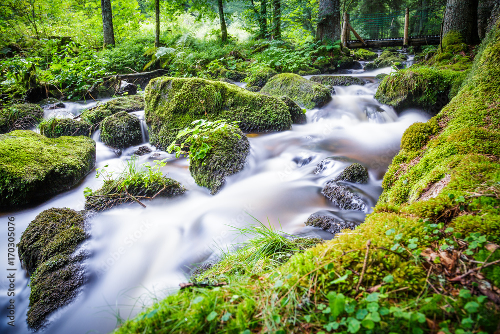 Wasserfälle von Triberg im Schwarzwald Wasserfall und Wildbach