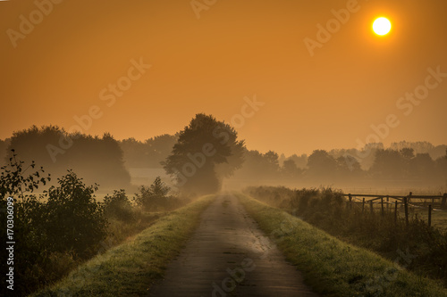 Canvas Print Sunrise in foggy fields