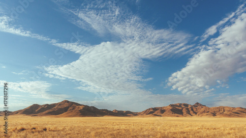 Namibia desert   Veld   Namib 