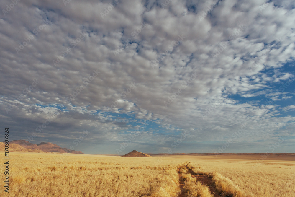 Obraz premium Namibian desert , Veld , Namib 