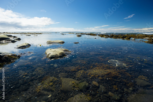 Iceland - Crystal clear pure ocean water at blonduos beach with stones and algae photo