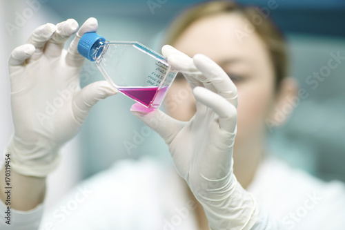Scientist examining liquid in laboratory photo