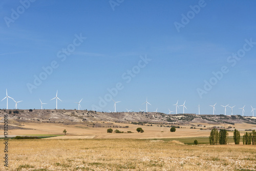 Landscape of Castilla y Leon near the village of Villaviudas in the region of Tierra de Campos, Palencia Province, Spain, photo