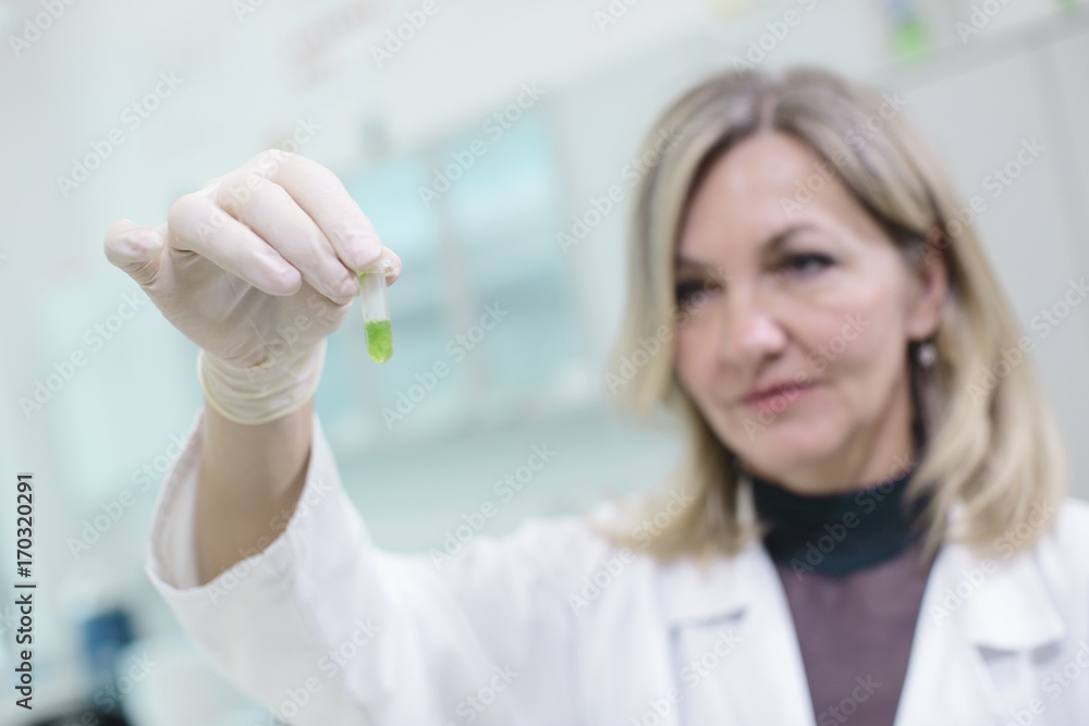 Female scientist examining test tube in laboratory Female scientist examining test tube in laboratory