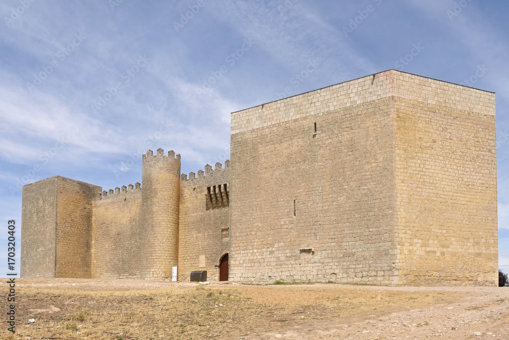 Castle of Montealegre de Campos, Tierra de Campos region, Valladolid province, Castilla y Leon, Spain