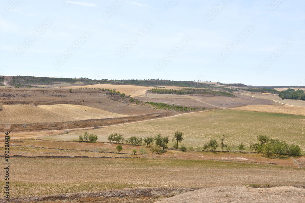 Landscape of Castilla y Leon near the village of Montealetre de Campos in the region of Tierra de Campos, Valladolid Province, Spain,