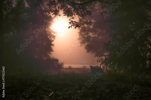 Foggy nigh park lights misty with banch