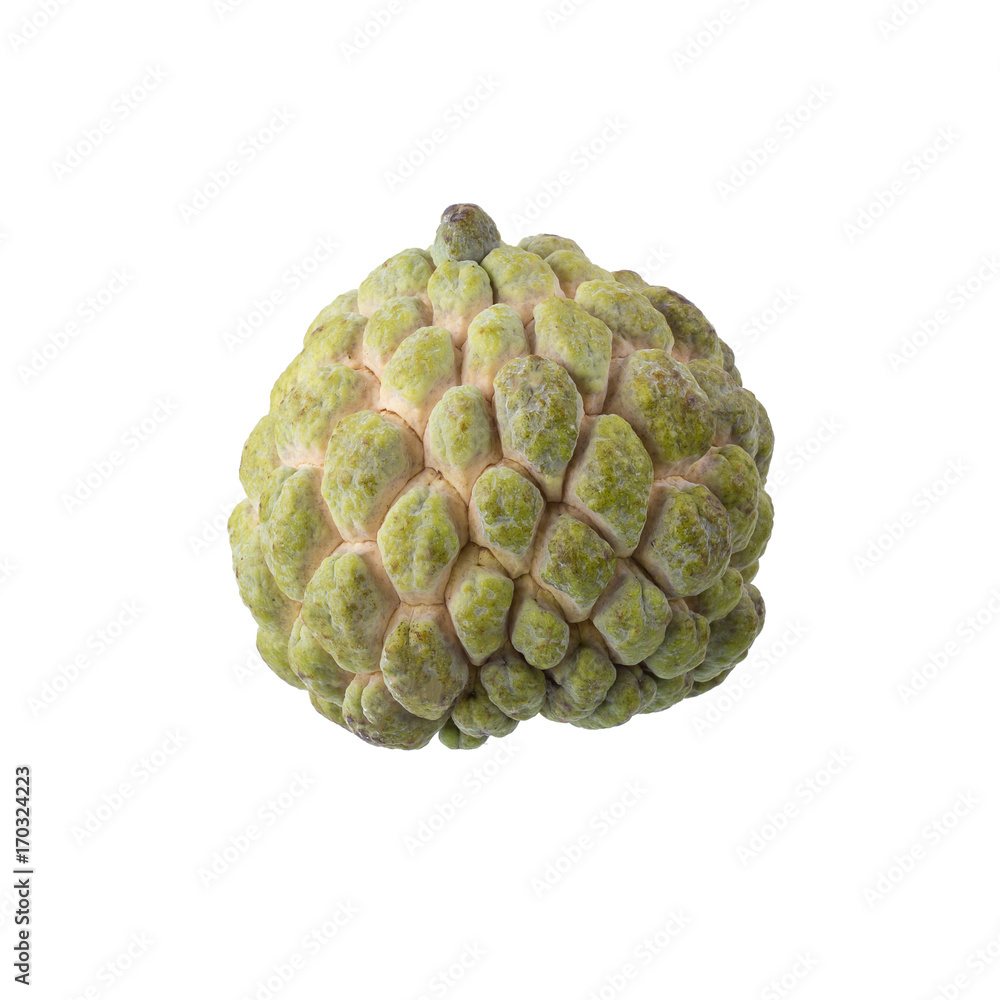 Sugar Apple custard isolated on white background Sugar Apple custard isolated on white background