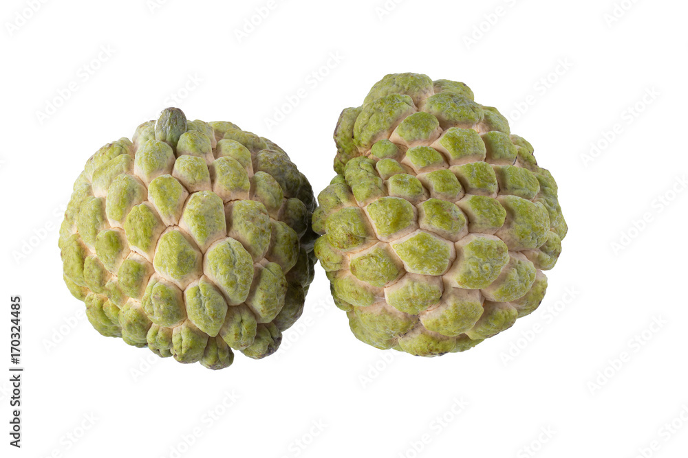 Sugar Apple custard isolated on white background Sugar Apple custard isolated on white background