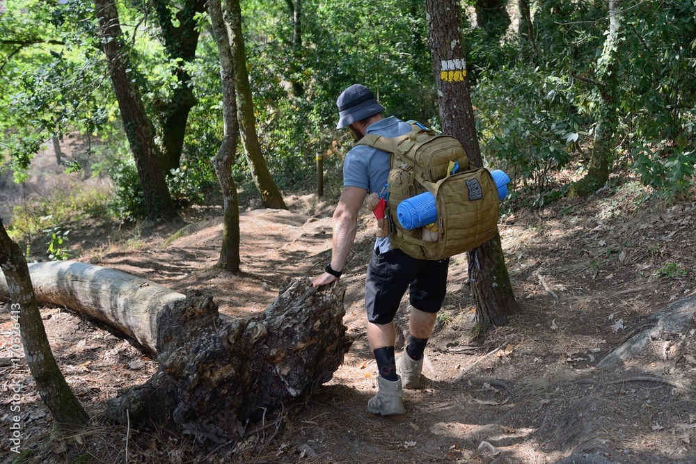 tourist with a backpack on a forest path