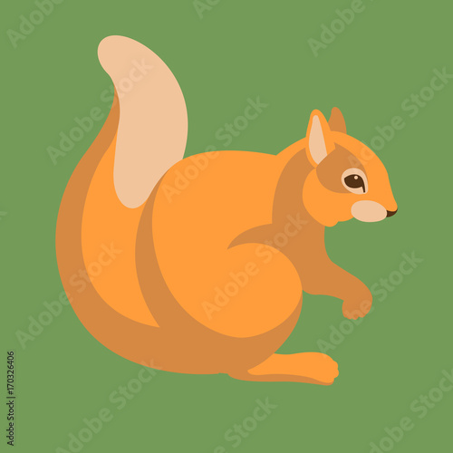squirrel vector illustration style flat profile side