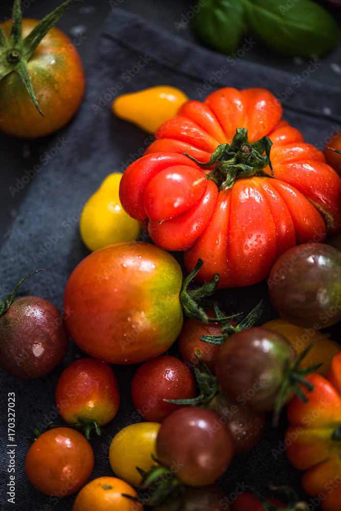 Close view on farm fresh tomatoes