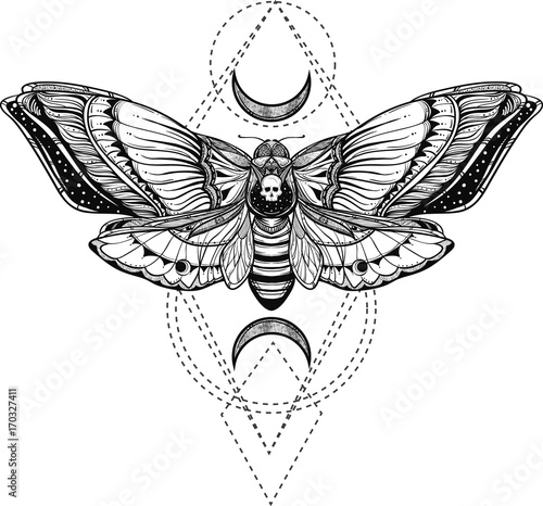 black and white deadhead butterfly on sacred geometry vector illustration