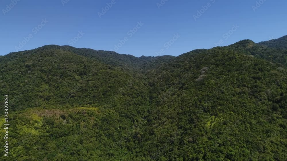 Flying Over Mountains and Forest Flying Over Mountains and Forest