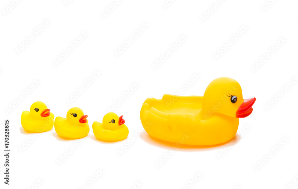 Fototapeta premium rubber ducks isolated