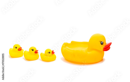 rubber ducks isolated