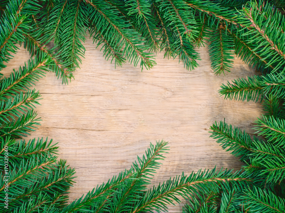 fir branches on texture wood background, top view fir branches on texture wood background, top view