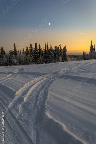 winter road in dawn photo