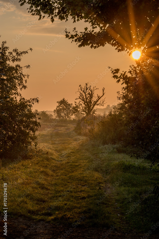 Spätsommermorgen in den Feldern Rheinhessens Spätsommermorgen in den Feldern Rheinhessens