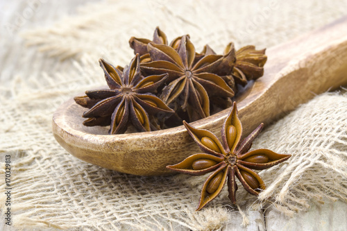 star anise on wooden spoon