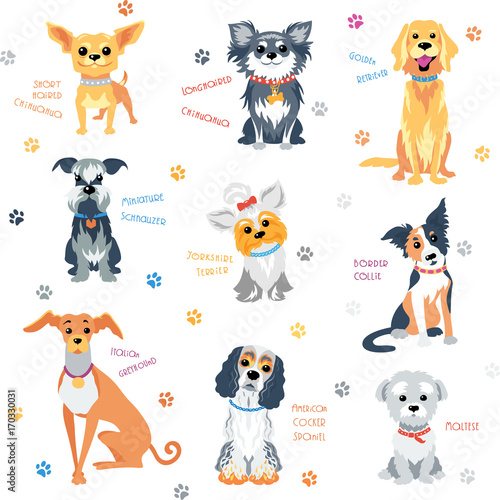 Vector set colour dogs of different breeds