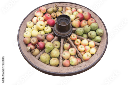 Obst Äpfel und Birnen