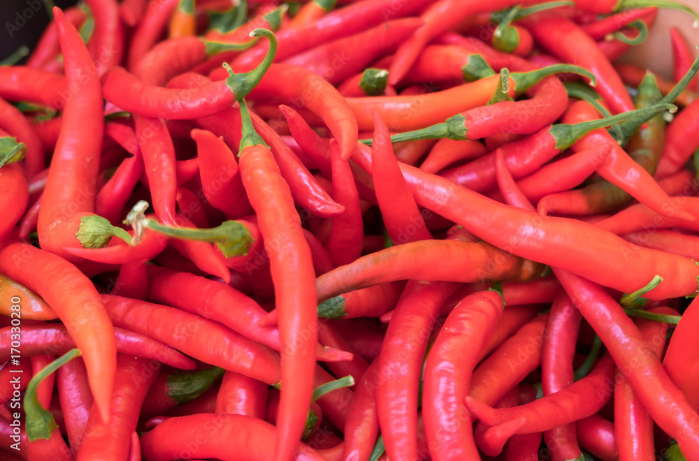 Hot red chilli peppers at local farmers market