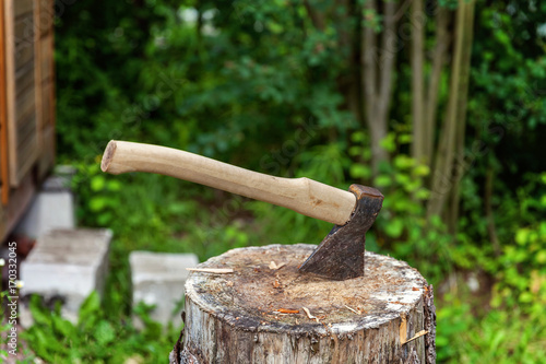 Old axe in stump