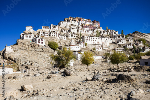 Thiksey Monastery photo