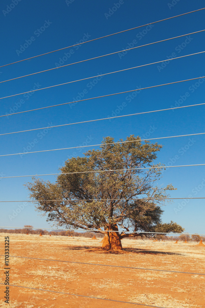 Obraz premium Namibian desert 