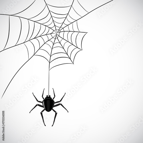 Spider web stock vector illustration