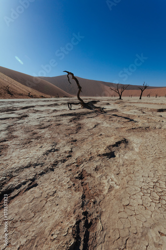 Sossusveli. Dead Vlei. Deadvlei. Namib Desert