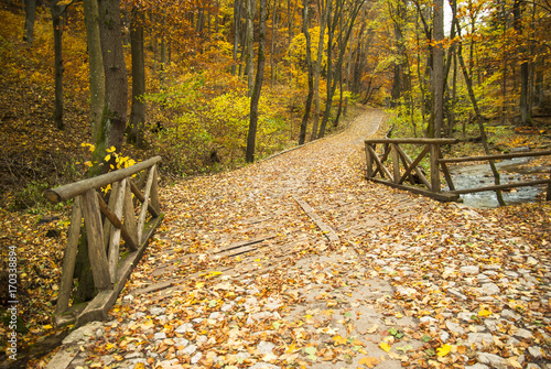 Hungary, Szalajka-valley in autumn photo