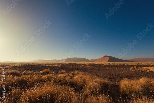 Sossusvlei. Dune 45. Namib Desert