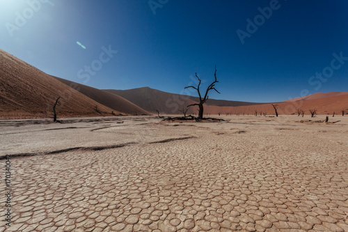 Sossusveli. Dead Vlei. Deadvlei. Namib Desert