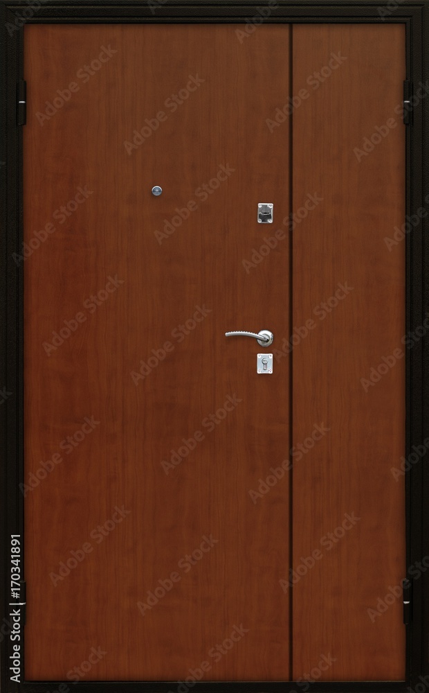 Obraz premium Entrance door (metal door)