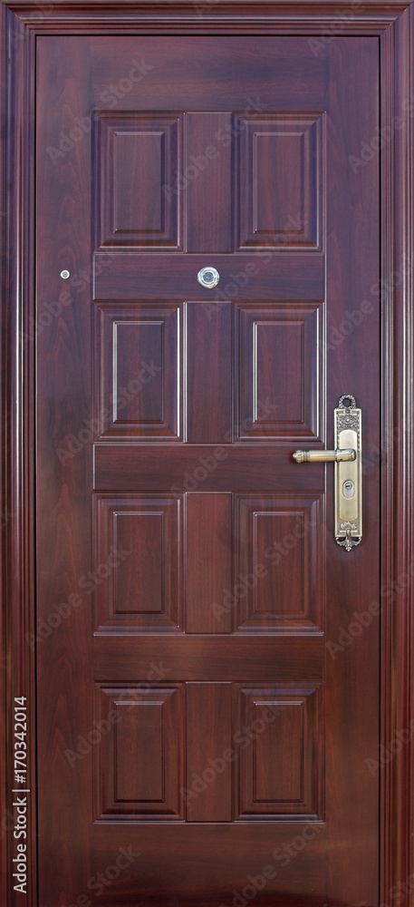 Entrance door (metal door)