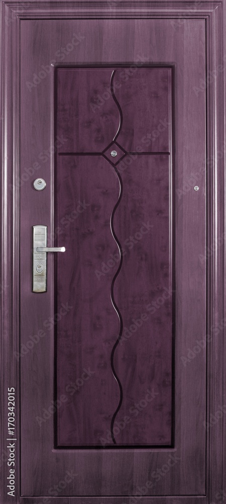 Entrance door (metal door) Entrance door (metal door)