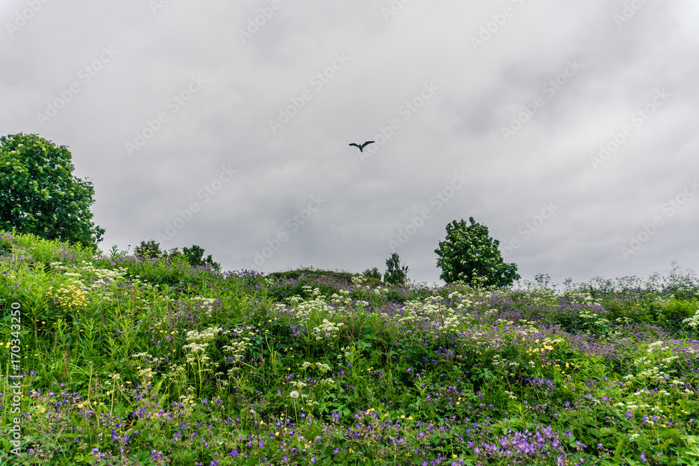 Landscape of village in Norway, Scandinavia Landscape of village in Norway, Scandinavia