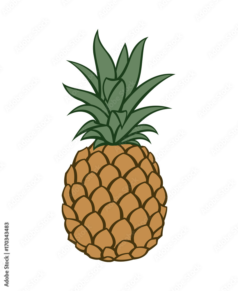 illustration of pineapple tropical fruit illustration of pineapple tropical fruit